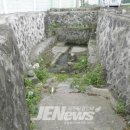 수정천 네이버블로그