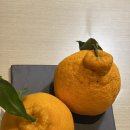 오성리테일 | ‘정중한 럭셔리’ &lt;그랜드 인터컨티넨탈 서울 파르나스&gt; ‘클럽 딜럭스’ 투숙 후기