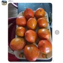 선희통닭 | 블챌을 낋여보았다