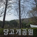 당고개약국 네이버블로그