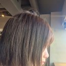 (주)홈시스 | 가벼운 고성능 드라이기, 쿠쿠 리네이처 제트블로우S2 2년 사용 후기