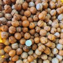 감골농장 이미지