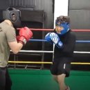 정일복싱 이미지