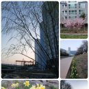 아침풍경 이미지