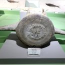 세계화석광물박물관 이미지