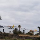 애월바다24 이미지