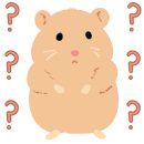 온시선헤어