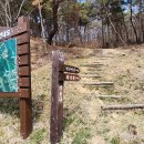 곡성-203 이미지