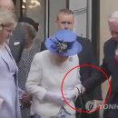 여왕의손 이미지