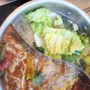 [제주 서귀포 샤브샤브 맛집] 샤브올데이 솔직 후기! 프리미엄 소고기 + 샐러드바 무제한 가성비 최고