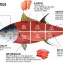 참치상회 이미지