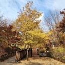 소만어린이공원 이미지