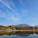 미사경정공원 | 가을의 끝자락에서 만난 아름다움｜하남 미사경정공원 핑크뮬리·단풍 후기