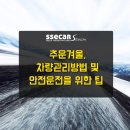 쌔카스팀세차