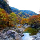 주산지 주차장 이미지