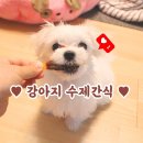 댕냥점빵 이미지