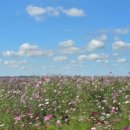 삼동소바 오성점 이미지