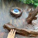 킴스베리 이미지