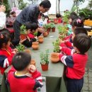 오즈의성어린이집 이미지