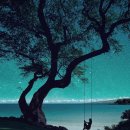 하늘땅바다친구 이미지