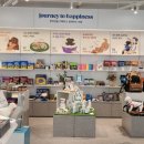 KNOLLO(놀로) 이미지