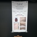 피부탱탱 | 모드에잇 피부관리 추천, 줄기세포MTS+팩 관리로 얼굴 탱탱해진 후기