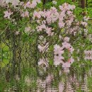 석남3동행정복지센터 이미지