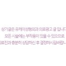 유케이메디칼 이미지