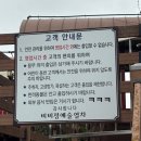 비비정예술열차 | 익산 근교 가볼만한 곳 완주 비비정 예술열차 (메뉴, 주차)