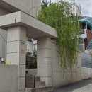대명동 카페거리 쉐 | 앞산카페거리 대명동 플란트 내돈내산 솔직후기