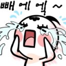 부라더카 이미지