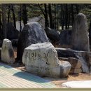 팔공산 둘레길 1구간 이미지