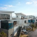 제주코롱코롱 이미지