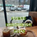 민도곡 | 전남 화순 도곡&lt;버블민&gt;핫플 애견동반 카페 후기 내돈내먹