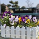 스위스마을101동 이미지