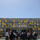 나비야함평가자 | [2026년 함평 나비축제 찐 후기(feat.황금박쥐,엑스포공원)