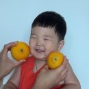 리소그래피 나만의 포스터 만들기 | 아기 과일 포스터 ai 어플로 쉽게 만들기 gpt 프롬포트첨부