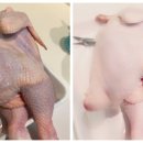 한양식당 이미지