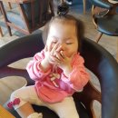 주말, 반쯤 불태워버린 일상
