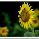 구와우농장 이미지