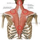 경희홍익한의원 이미지
