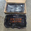 엘모터스(L-MOTORS) 이미지