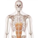 팀타이거짐 13호점 이미지