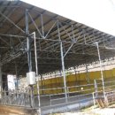 보은목장 이미지