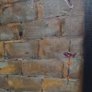 두메산골식당 이미지