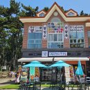 울산 미골공원 (옥외1) | [윤이's 일상생활공유] #755. 울산 대왕암공원카페 마루 팥빙수단팥죽 대왕암점 소나무숲뷰 일산...