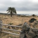 토산2리 이미지