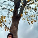 수인목장 이미지