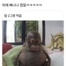상희 이미지