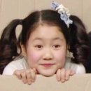 궁전도배 | [W.4🕊️] 전주 더웨스틴헤라 웨딩홀투어 상담ㅣ장단점 솔직 후기ㅣ견적공유 및 최종계약여부